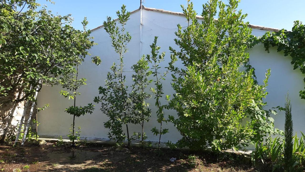 Casa Junto Al Parque Natural De Las Bardenas Sádaba Екстериор снимка